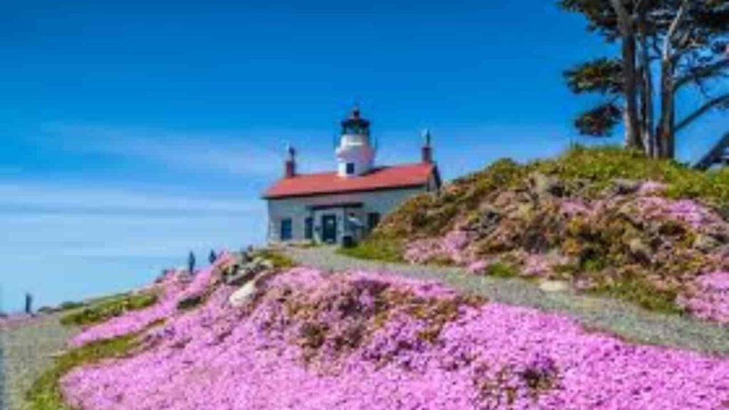 Crescent City of Del Norte County of California