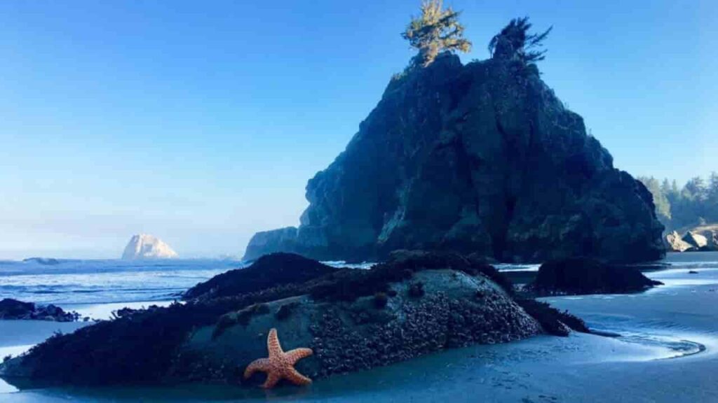 Klamath City of Del Norte County of California