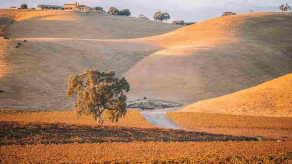 Paso Robles City of San Luis Obispo County California